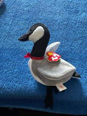 Ty Beanie Baby Loosy the Goose (1998 Retired Canadian Goose)